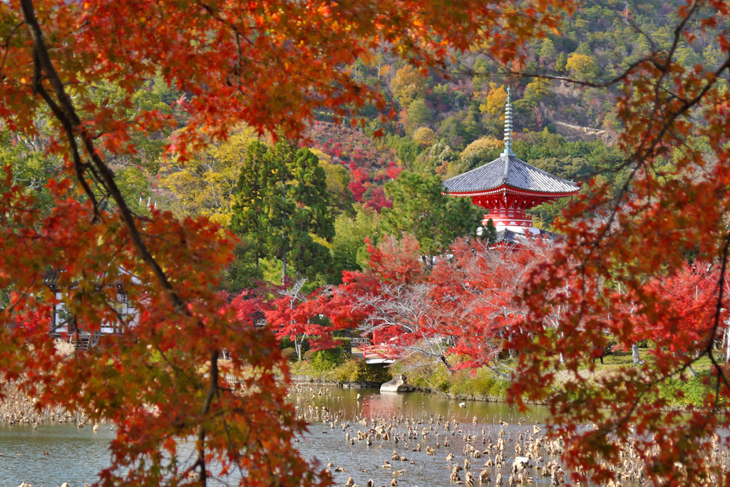 大覚寺