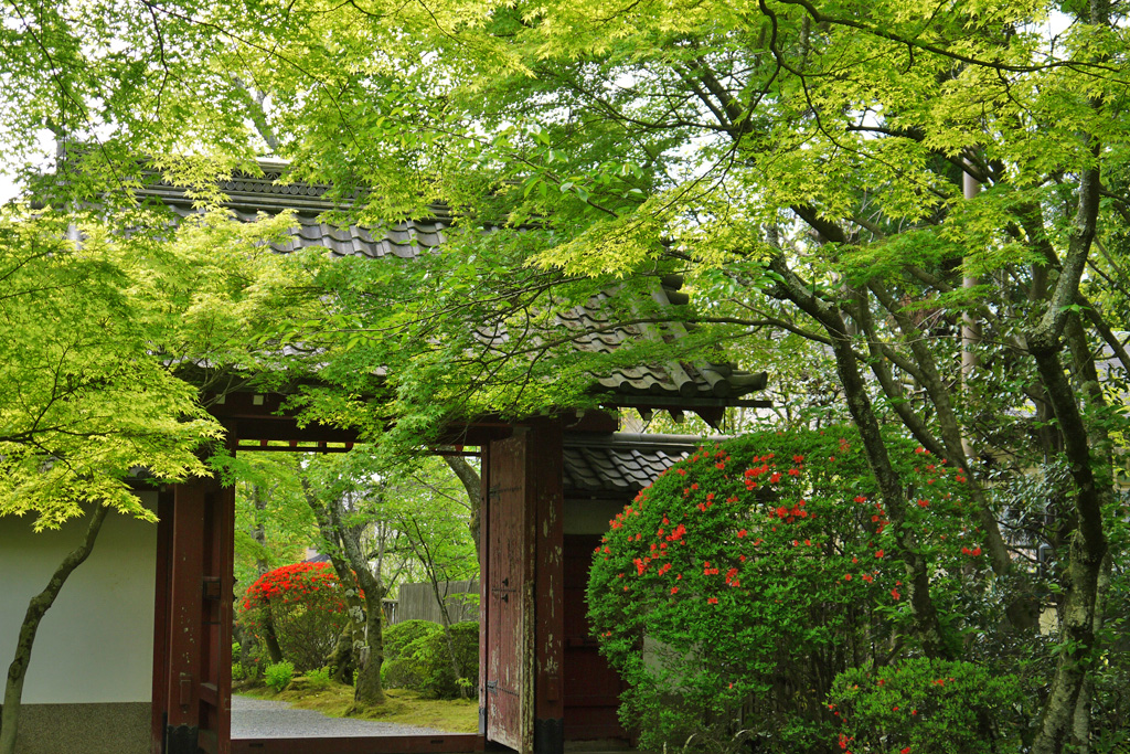 常照寺